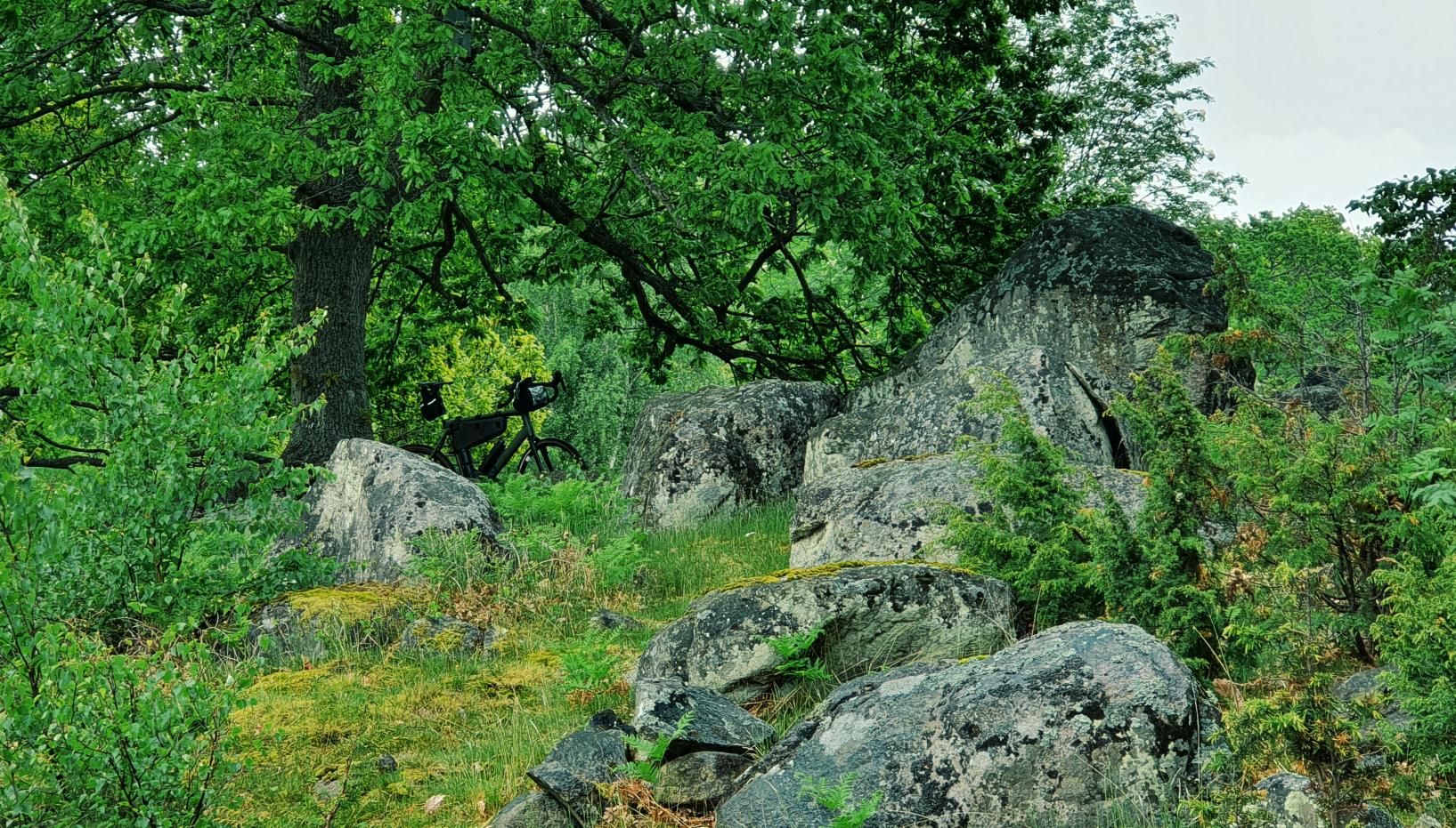Kadr z trasy • Etap II: Królewski Podjazd pod Kulminację — próba charakteru (km 49.1 – 51)